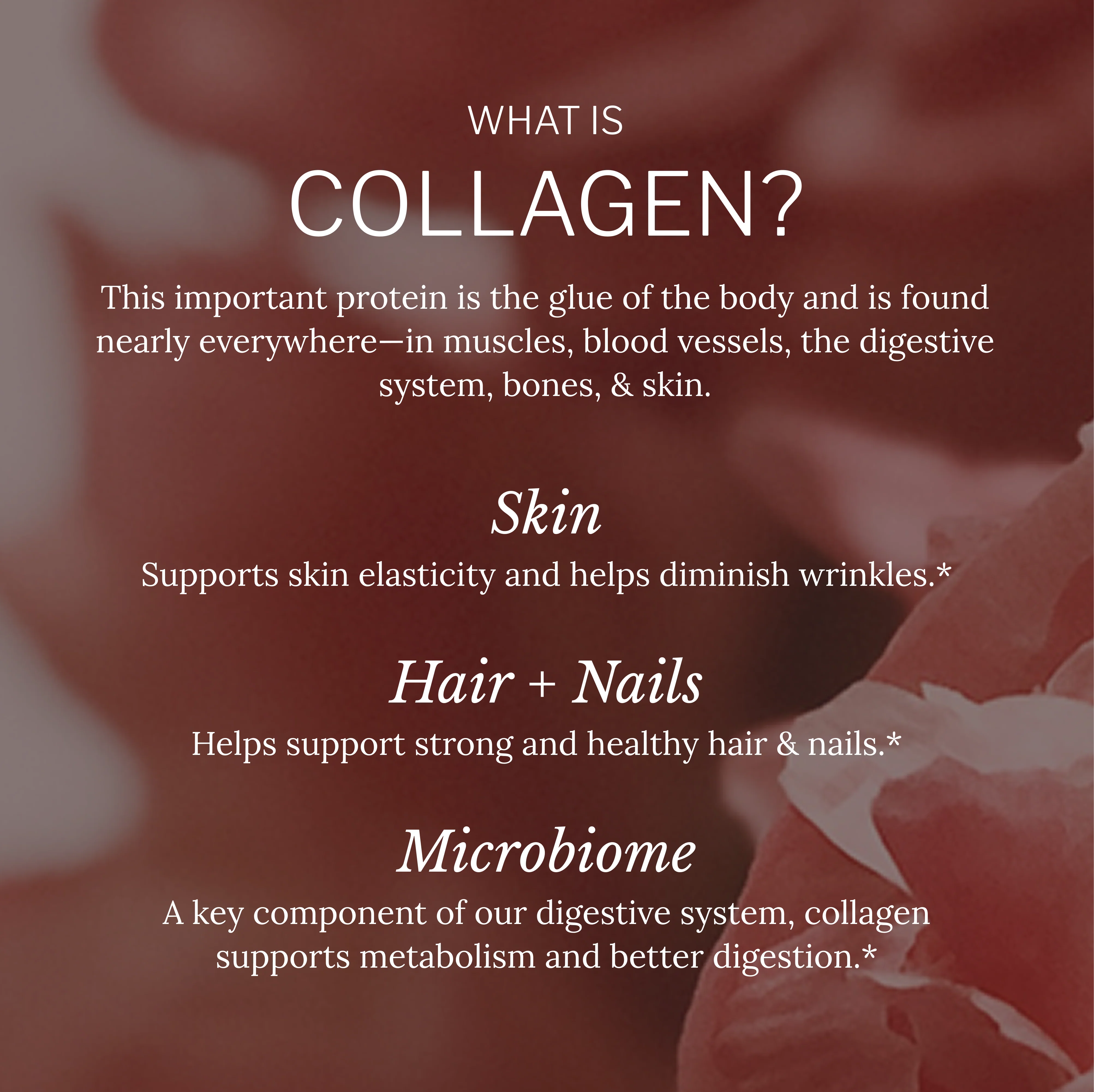 Multi Collagen Capsules - Image 3